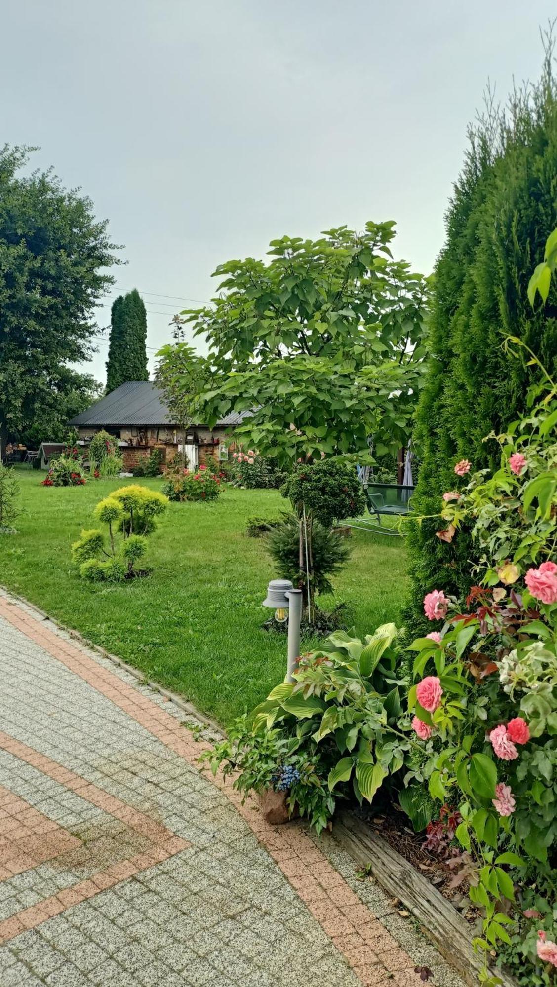 Apartmán Ostoja Czersk Zamek Gora Kalwaria Exteriér fotografie