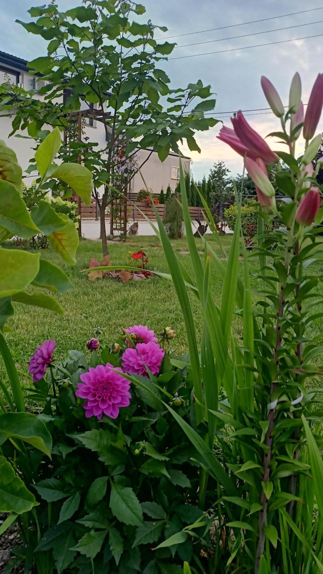 Apartmán Ostoja Czersk Zamek Gora Kalwaria Exteriér fotografie